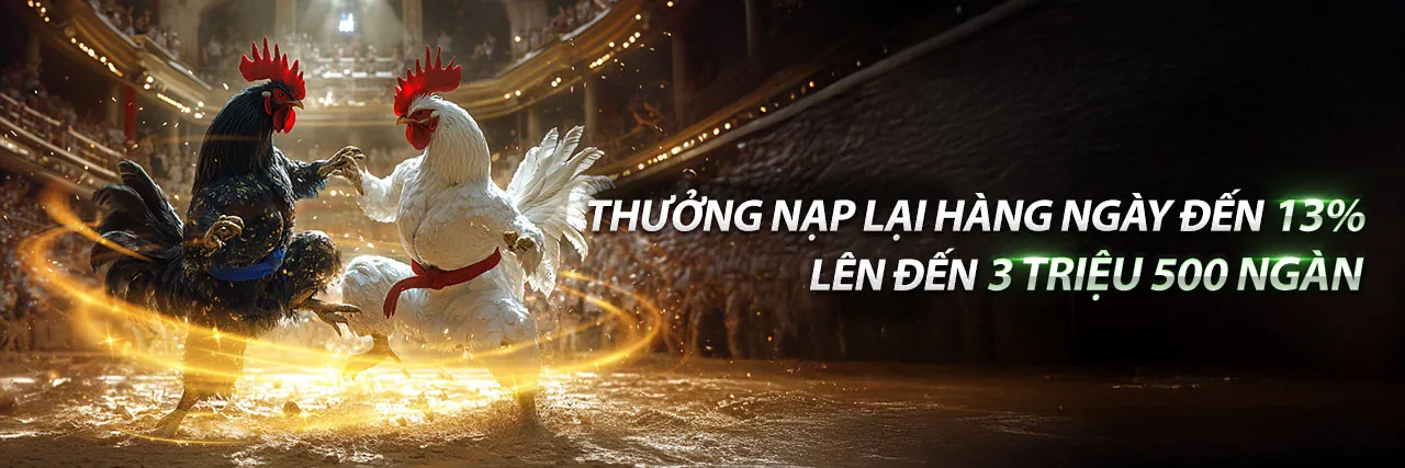 Tin tức CRO88 nhà cái
